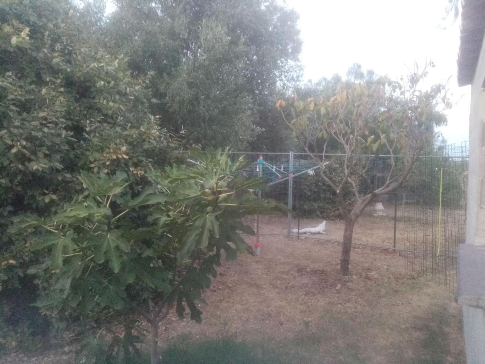 A Fontanille Villa Magalas Buitenkant foto